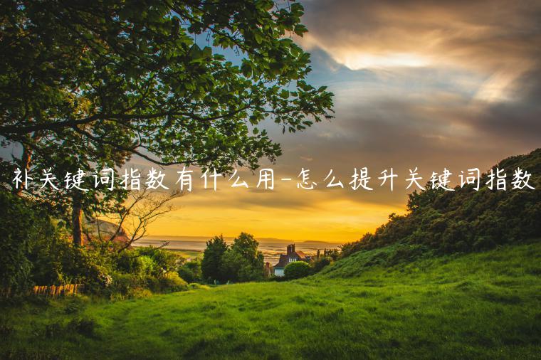 補關鍵詞指數(shù)有什么用-怎么提升關鍵詞指數(shù)